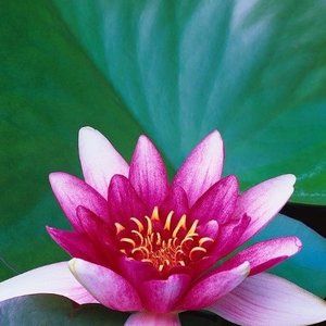 Meet your Posher, Jim